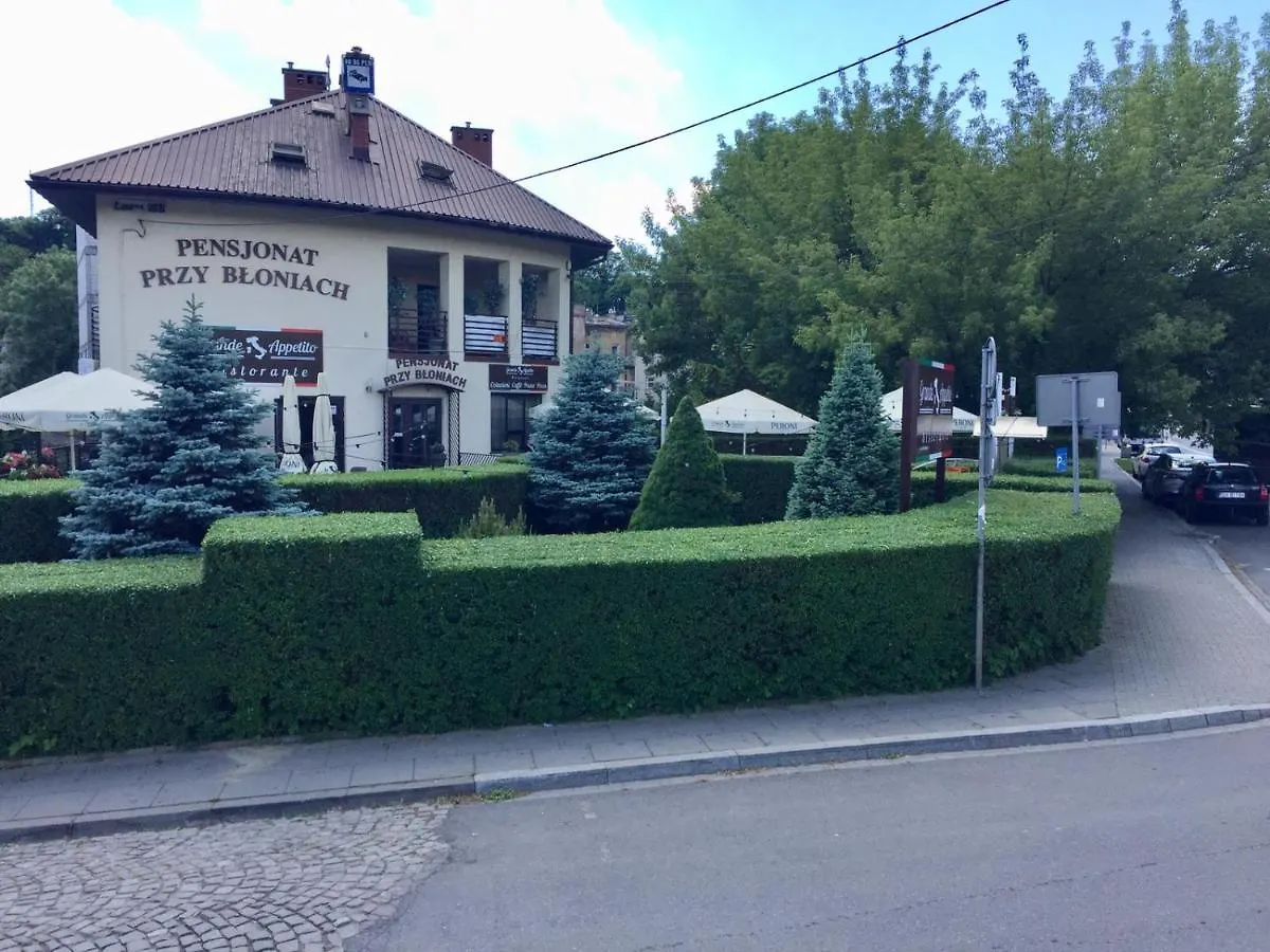 Pensjonat Przy Bloniach Krakow 0*,