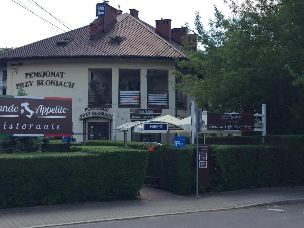 Guest house Pensjonat Przy Bloniach Krakow